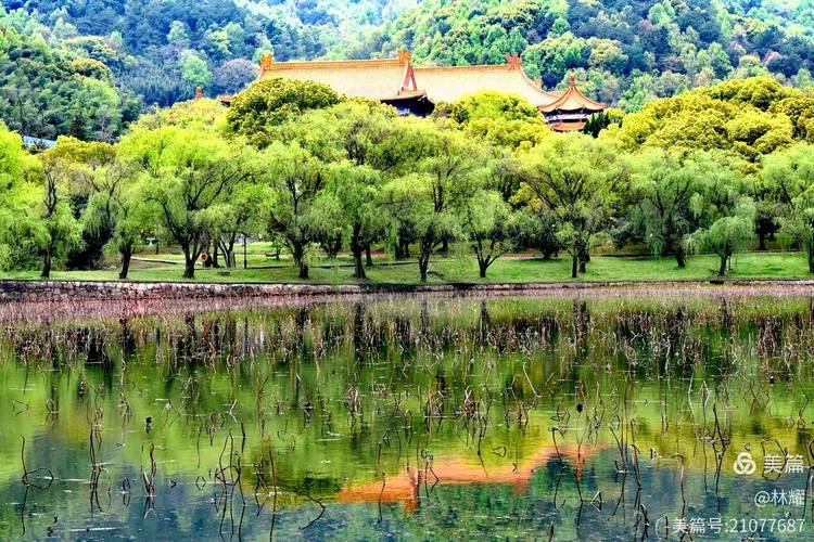 余姚天下玉苑旅游攻略，这里不仅是旅游景区，还是佛文化和玉文化的传播地
