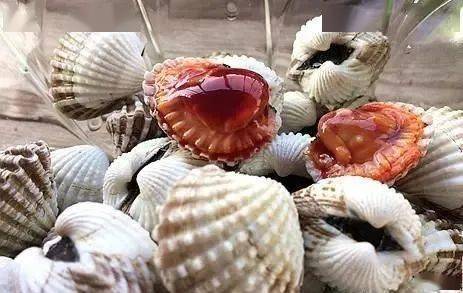 宁波这24种美食，你吃过几种？