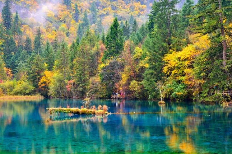 九寨沟五花湖