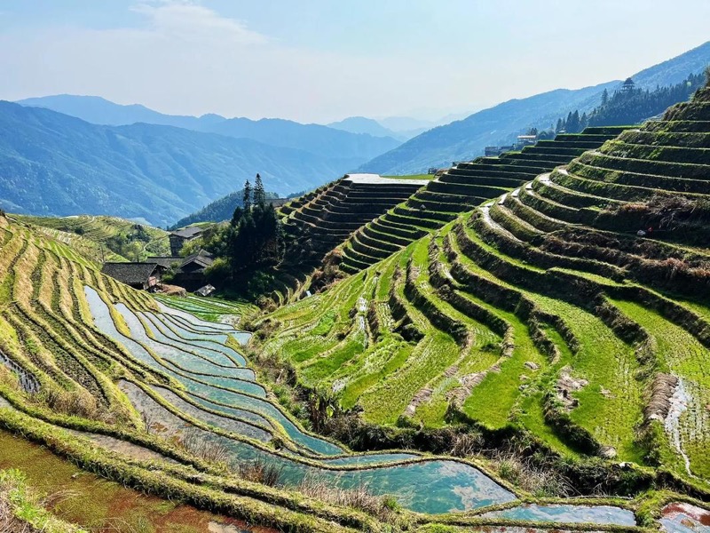中国广西龙胜梯田