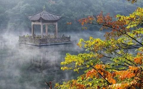 国家4A旅游景区：宁海森林温泉景区旅游全攻略