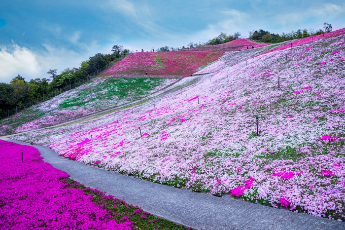 国家4A级旅游景区：宁波绿野山居景区游玩全攻略