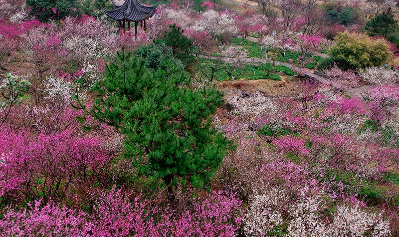 宁波北仑九峰山旅游区