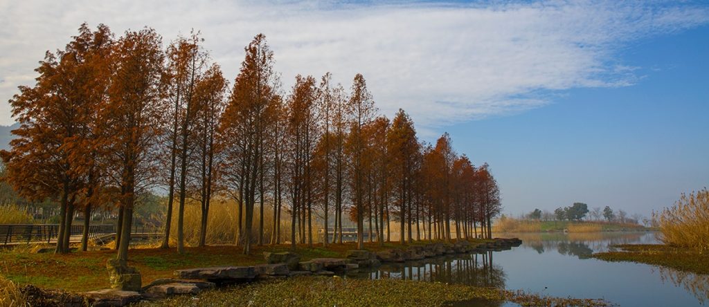 马山休闲旅游区