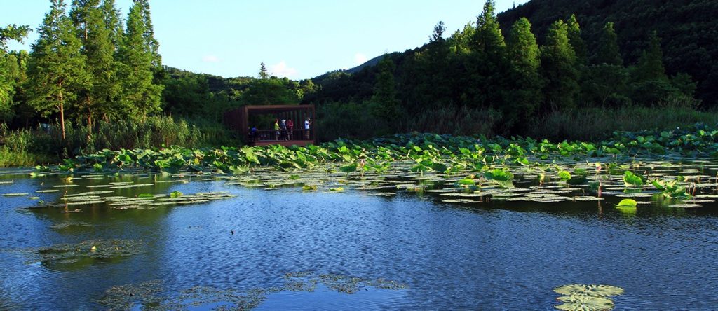 宁波马山休闲旅游区