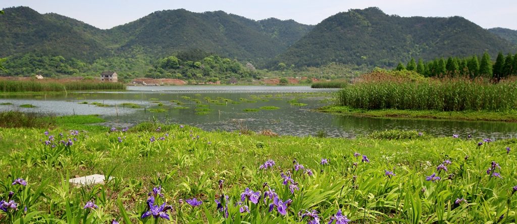 宁波马山休闲旅游区