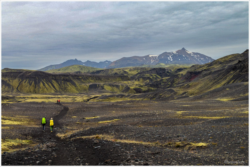Laugavegur Trail