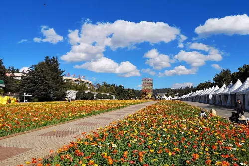 花园大道