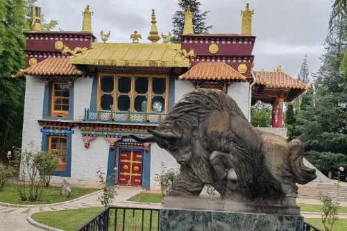 西藏格桑园