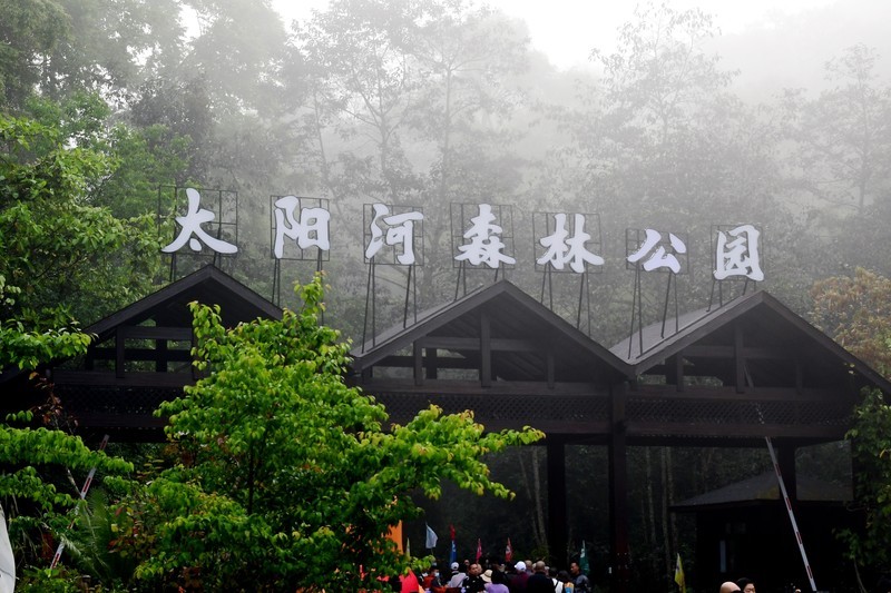 普洱太阳河森林公园旅游攻略